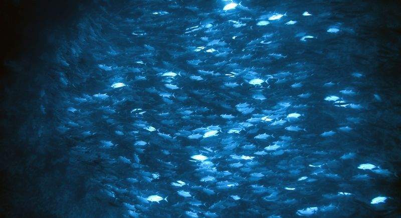 未来学園 - Image 2